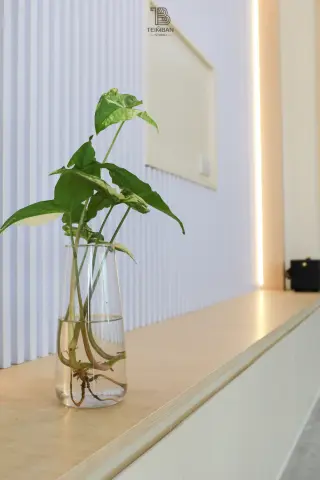 ห้องรับแขก · คุณปลา